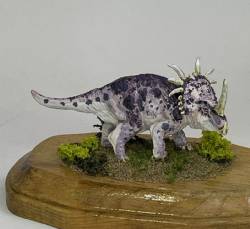 Adult Styracosaurus